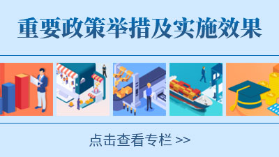 重要政策舉措及實施效果